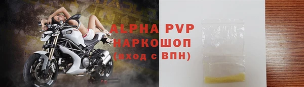 ПСИЛОЦИБИНОВЫЕ ГРИБЫ Ладушкин