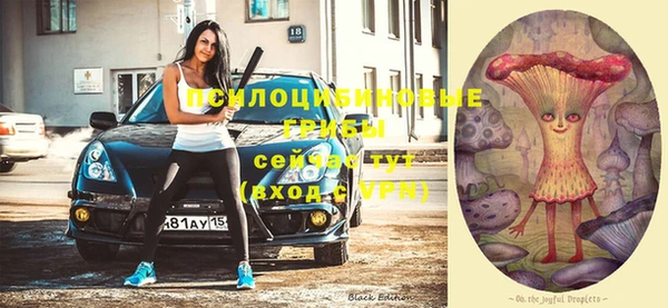 а пвп мука Лиски