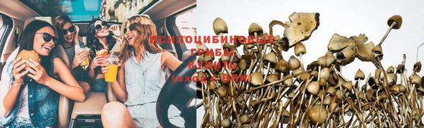 а пвп мука Лиски