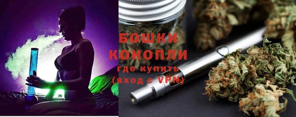 ПСИЛОЦИБИНОВЫЕ ГРИБЫ Ладушкин