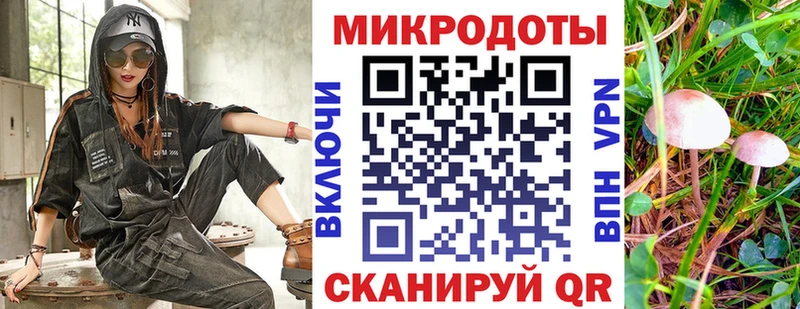 Купить где  Маркс  Псилоцибиновые грибы GOLDEN TEACHER 